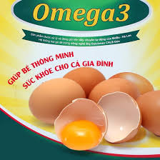 Giới thiệu công nghệ sản suất trứng gà Omega 3